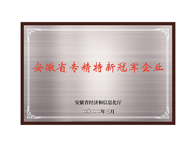 مقاطعة انهوى المتخصصة والمؤسسة البطل الجديدة